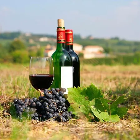 Holiday home Oasis De La Cit, A Beautiful Property, Sleeps 8, Carcassonne